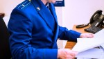 Житель Медведевского района осужден к 11 годам лишения свободы за покушение на незаконный сбыт наркотика